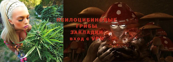 кокс Аркадак