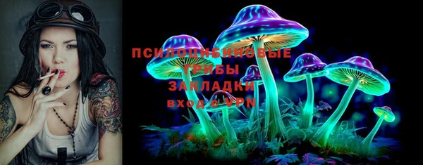 кокс Аркадак